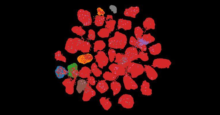 Tahoe-100M: A Giga-Scale Single-Cell Perturbation Atlas for Context-Dependent Gene Function and Cellular Modeling