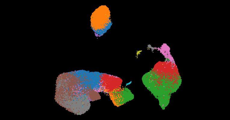 A single-cell cytokine dictionary of human peripheral blood