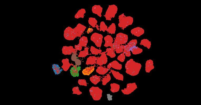 Tahoe-100M: A Giga-Scale Single-Cell Perturbation Atlas for Context-Dependent Gene Function and Cellular Modeling