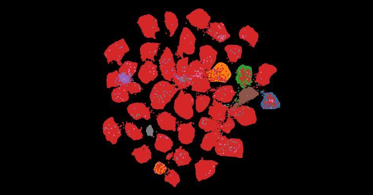 Tahoe-100M: A Giga-Scale Single-Cell Perturbation Atlas for Context-Dependent Gene Function and Cellular Modeling
