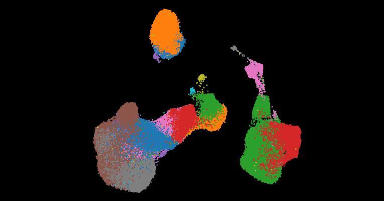 A single-cell cytokine dictionary of human peripheral blood