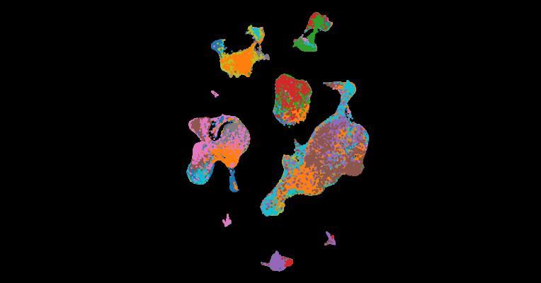 Mapping single-cell transcriptomes in the intra-tumoral and associated territories of kidney cancer