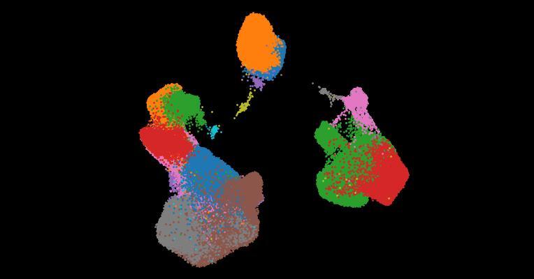 A single-cell cytokine dictionary of human peripheral blood