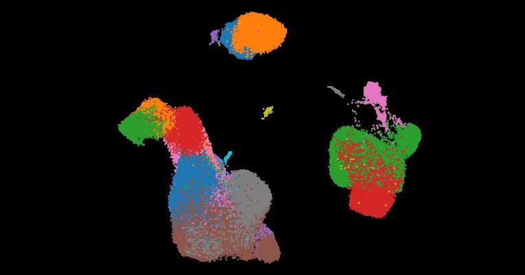 A single-cell cytokine dictionary of human peripheral blood