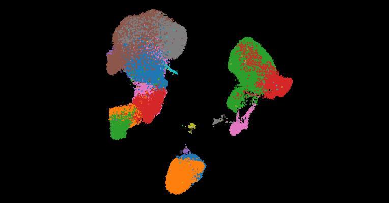 A single-cell cytokine dictionary of human peripheral blood