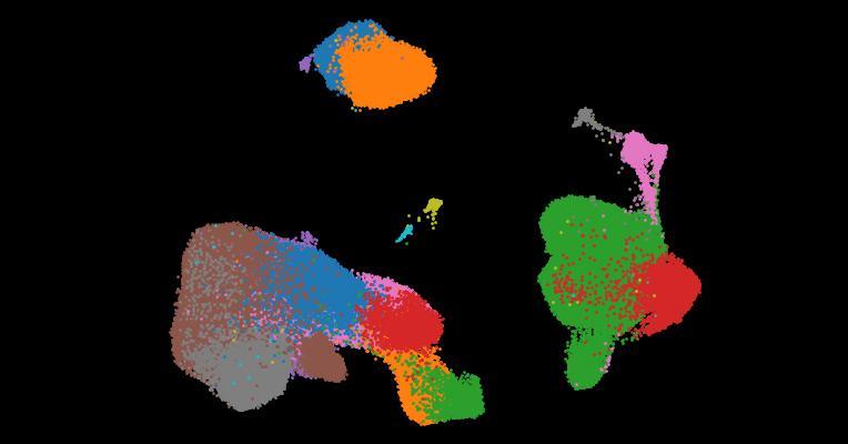 A single-cell cytokine dictionary of human peripheral blood