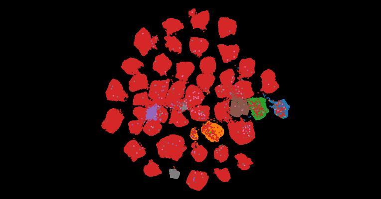 Tahoe-100M: A Giga-Scale Single-Cell Perturbation Atlas for Context-Dependent Gene Function and Cellular Modeling
