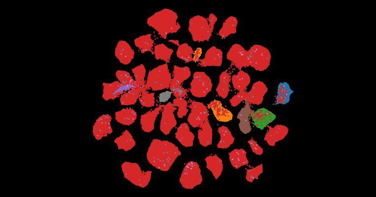 Tahoe-100M: A Giga-Scale Single-Cell Perturbation Atlas for Context-Dependent Gene Function and Cellular Modeling