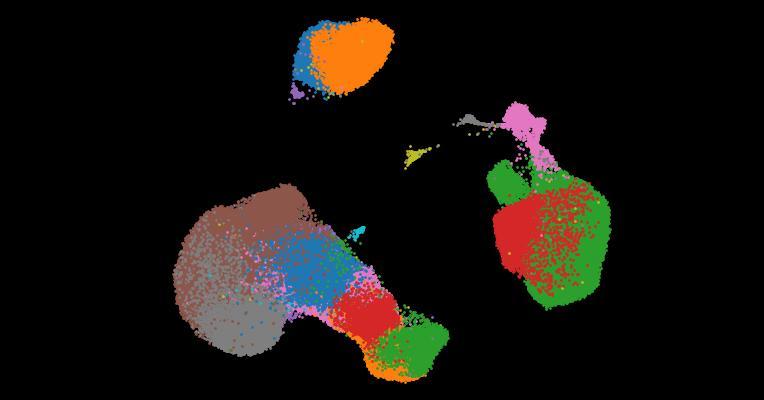 A single-cell cytokine dictionary of human peripheral blood