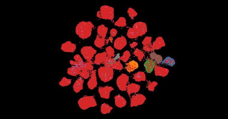 Tahoe-100M: A Giga-Scale Single-Cell Perturbation Atlas for Context-Dependent Gene Function and Cellular Modeling