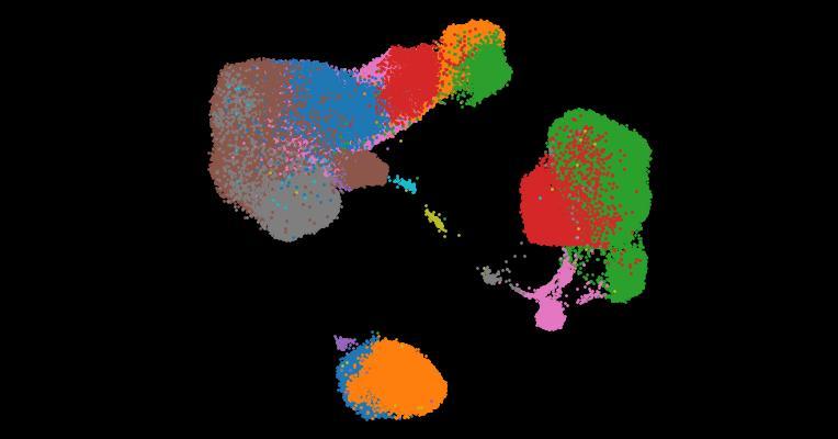 A single-cell cytokine dictionary of human peripheral blood