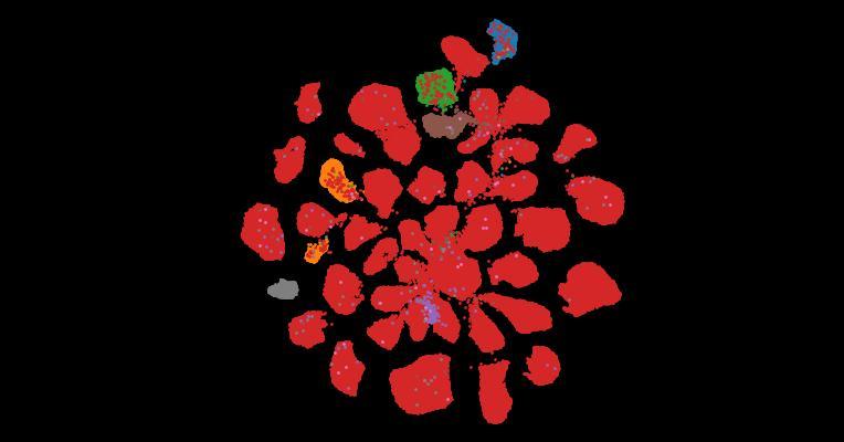 Tahoe-100M: A Giga-Scale Single-Cell Perturbation Atlas for Context-Dependent Gene Function and Cellular Modeling