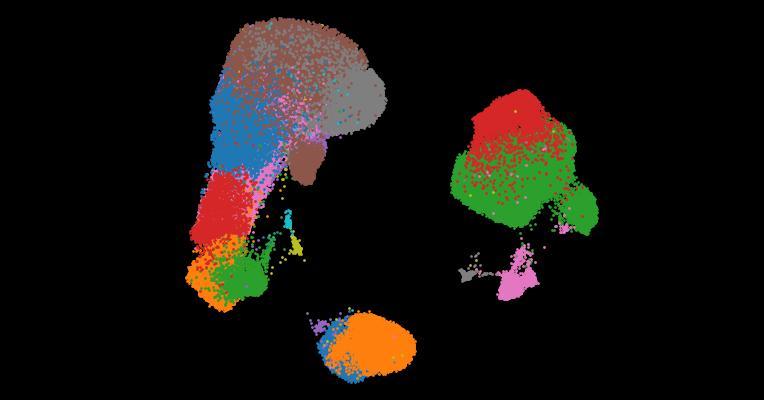 A single-cell cytokine dictionary of human peripheral blood