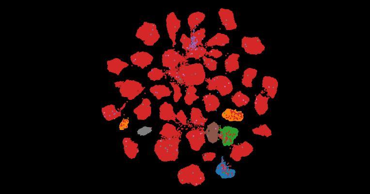 Tahoe-100M: A Giga-Scale Single-Cell Perturbation Atlas for Context-Dependent Gene Function and Cellular Modeling