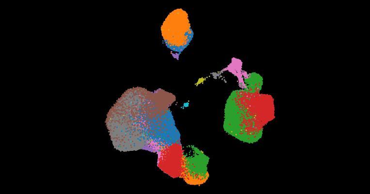 A single-cell cytokine dictionary of human peripheral blood