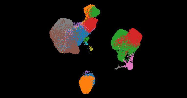 A single-cell cytokine dictionary of human peripheral blood