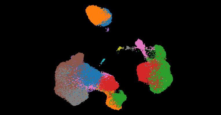 A single-cell cytokine dictionary of human peripheral blood