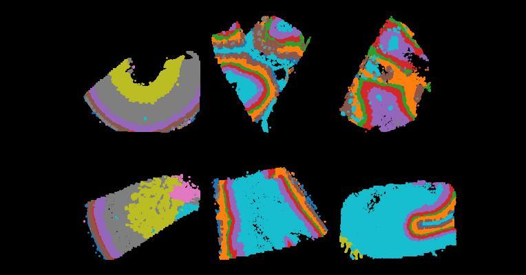 Molecular and cellular dynamics of the developing human neocortex