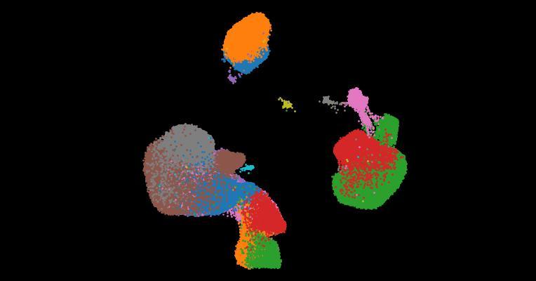 A single-cell cytokine dictionary of human peripheral blood