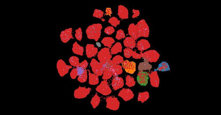 Tahoe-100M: A Giga-Scale Single-Cell Perturbation Atlas for Context-Dependent Gene Function and Cellular Modeling