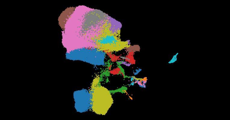 Automatic cell-type harmonization and integration across Human Cell Atlas datasets