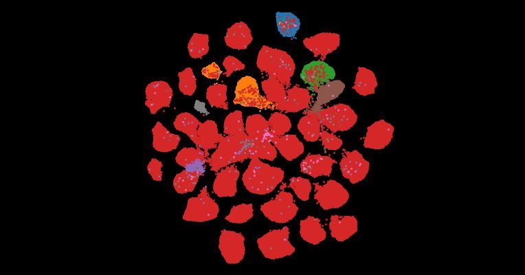 Tahoe-100M: A Giga-Scale Single-Cell Perturbation Atlas for Context-Dependent Gene Function and Cellular Modeling