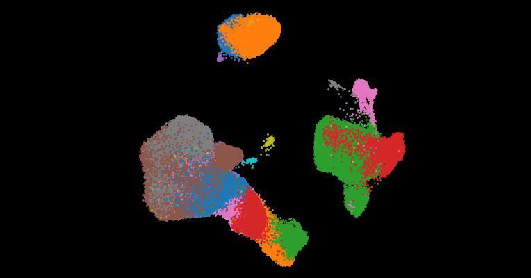 A single-cell cytokine dictionary of human peripheral blood