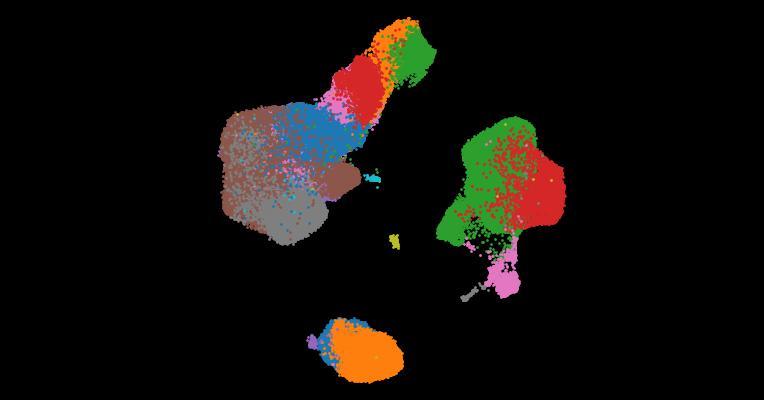 A single-cell cytokine dictionary of human peripheral blood