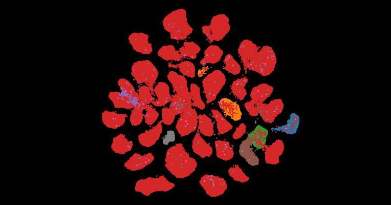 Tahoe-100M: A Giga-Scale Single-Cell Perturbation Atlas for Context-Dependent Gene Function and Cellular Modeling