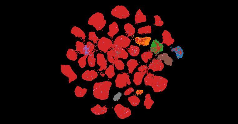 Tahoe-100M: A Giga-Scale Single-Cell Perturbation Atlas for Context-Dependent Gene Function and Cellular Modeling
