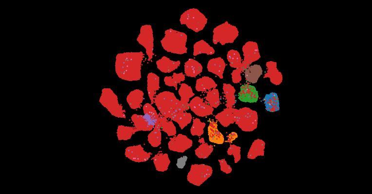 Tahoe-100M: A Giga-Scale Single-Cell Perturbation Atlas for Context-Dependent Gene Function and Cellular Modeling