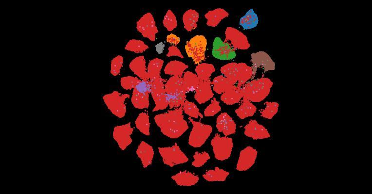 Tahoe-100M: A Giga-Scale Single-Cell Perturbation Atlas for Context-Dependent Gene Function and Cellular Modeling