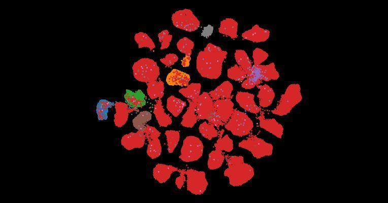 Tahoe-100M: A Giga-Scale Single-Cell Perturbation Atlas for Context-Dependent Gene Function and Cellular Modeling
