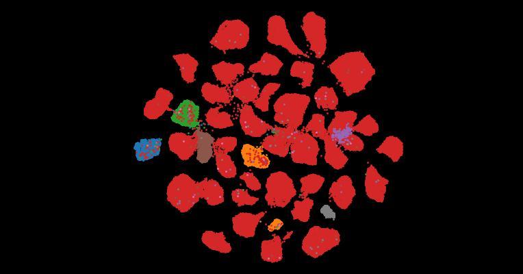 Tahoe-100M: A Giga-Scale Single-Cell Perturbation Atlas for Context-Dependent Gene Function and Cellular Modeling