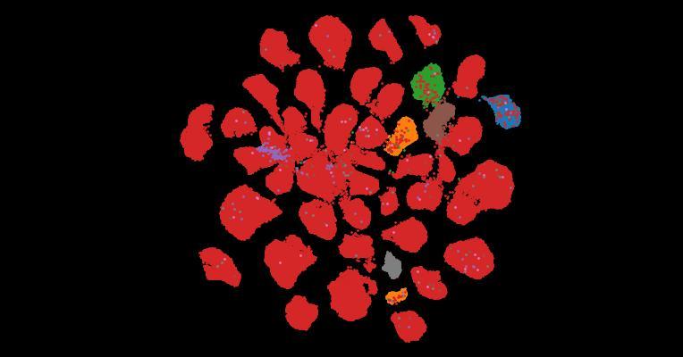 Tahoe-100M: A Giga-Scale Single-Cell Perturbation Atlas for Context-Dependent Gene Function and Cellular Modeling