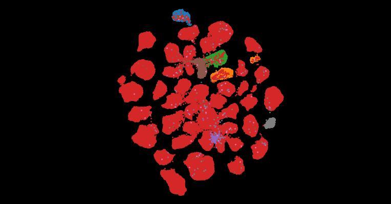 Tahoe-100M: A Giga-Scale Single-Cell Perturbation Atlas for Context-Dependent Gene Function and Cellular Modeling