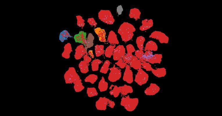 Tahoe-100M: A Giga-Scale Single-Cell Perturbation Atlas for Context-Dependent Gene Function and Cellular Modeling