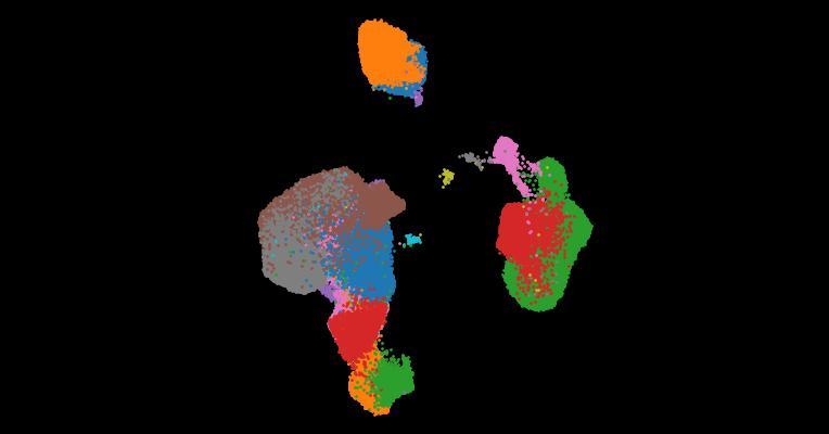 A single-cell cytokine dictionary of human peripheral blood