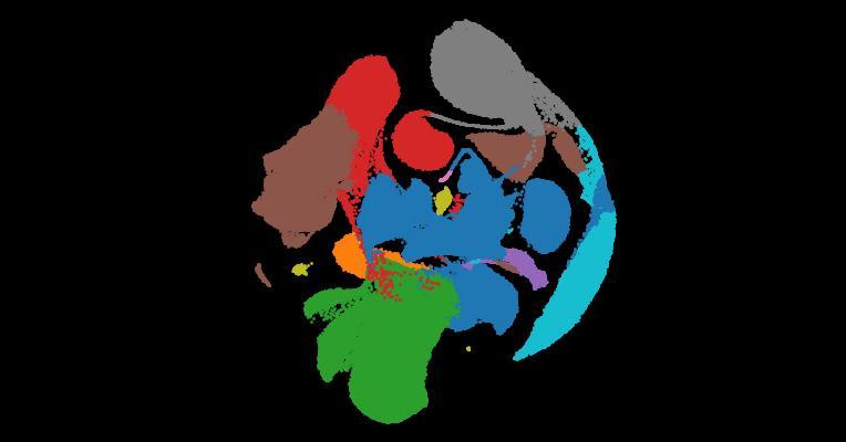 An integrated transcriptomic cell atlas of human endoderm-derived organoids
