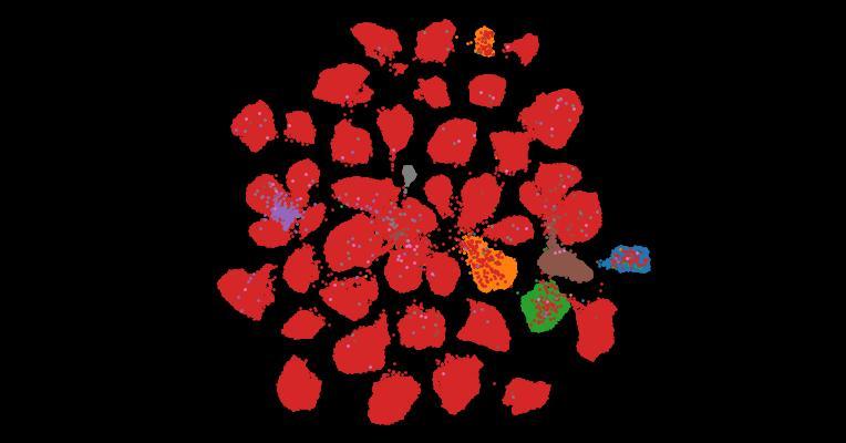 Tahoe-100M: A Giga-Scale Single-Cell Perturbation Atlas for Context-Dependent Gene Function and Cellular Modeling