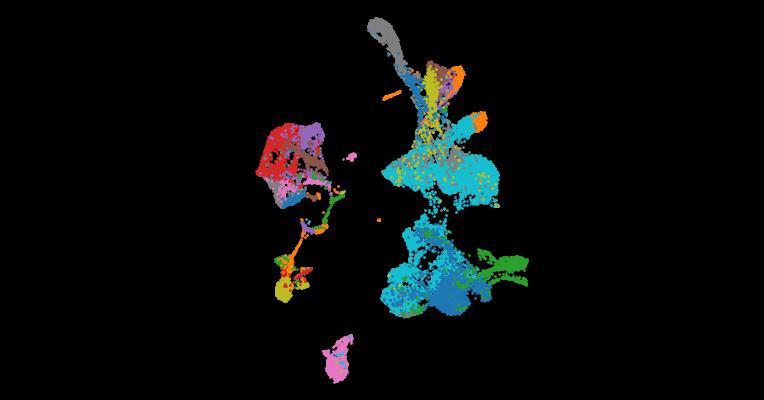 Single cell derived mRNA signals across human kidney tumors