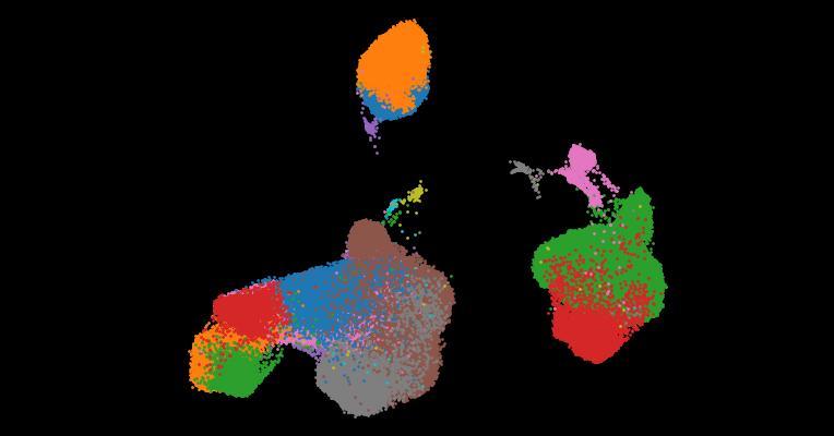 A single-cell cytokine dictionary of human peripheral blood