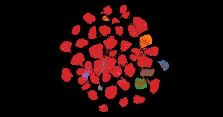 Tahoe-100M: A Giga-Scale Single-Cell Perturbation Atlas for Context-Dependent Gene Function and Cellular Modeling
