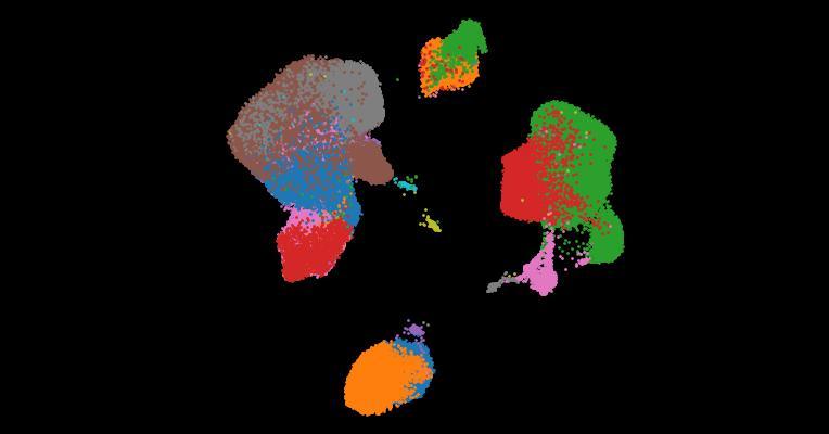 A single-cell cytokine dictionary of human peripheral blood