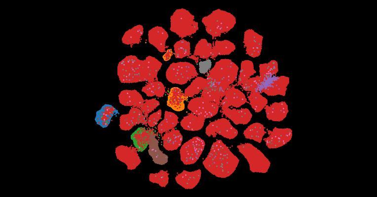 Tahoe-100M: A Giga-Scale Single-Cell Perturbation Atlas for Context-Dependent Gene Function and Cellular Modeling