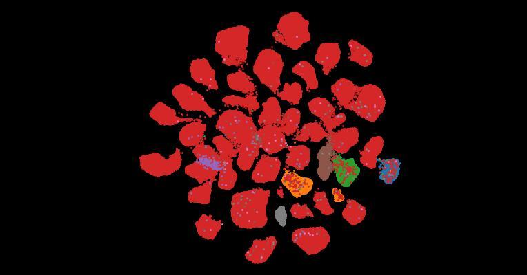Tahoe-100M: A Giga-Scale Single-Cell Perturbation Atlas for Context-Dependent Gene Function and Cellular Modeling