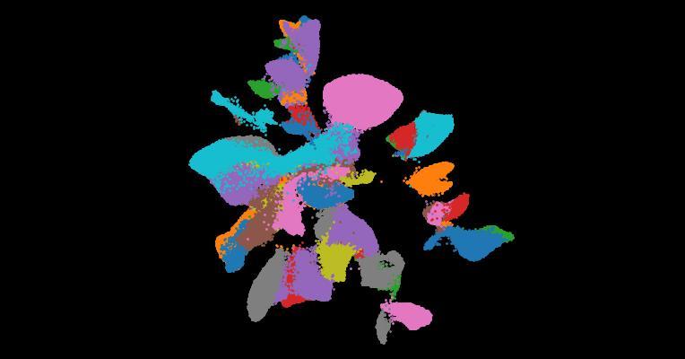Automatic cell-type harmonization and integration across Human Cell Atlas datasets
