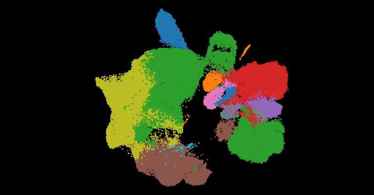 Automatic cell-type harmonization and integration across Human Cell Atlas datasets