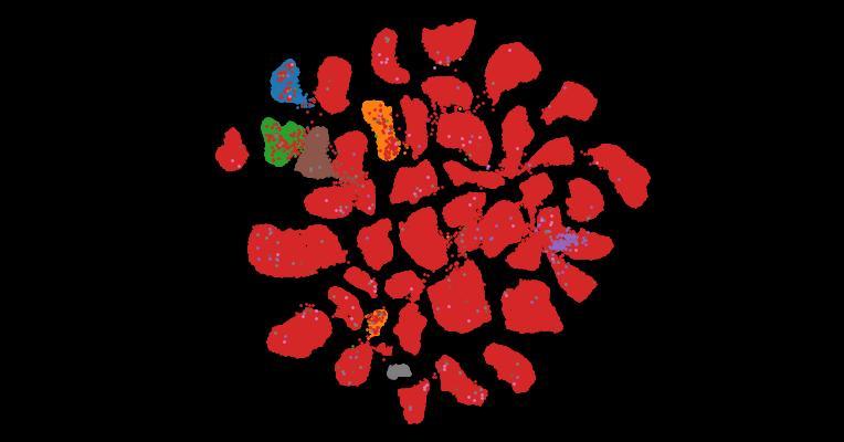Tahoe-100M: A Giga-Scale Single-Cell Perturbation Atlas for Context-Dependent Gene Function and Cellular Modeling