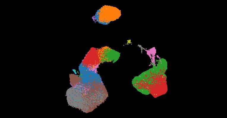 A single-cell cytokine dictionary of human peripheral blood